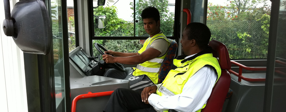 Want to earn a living as a bus driver?